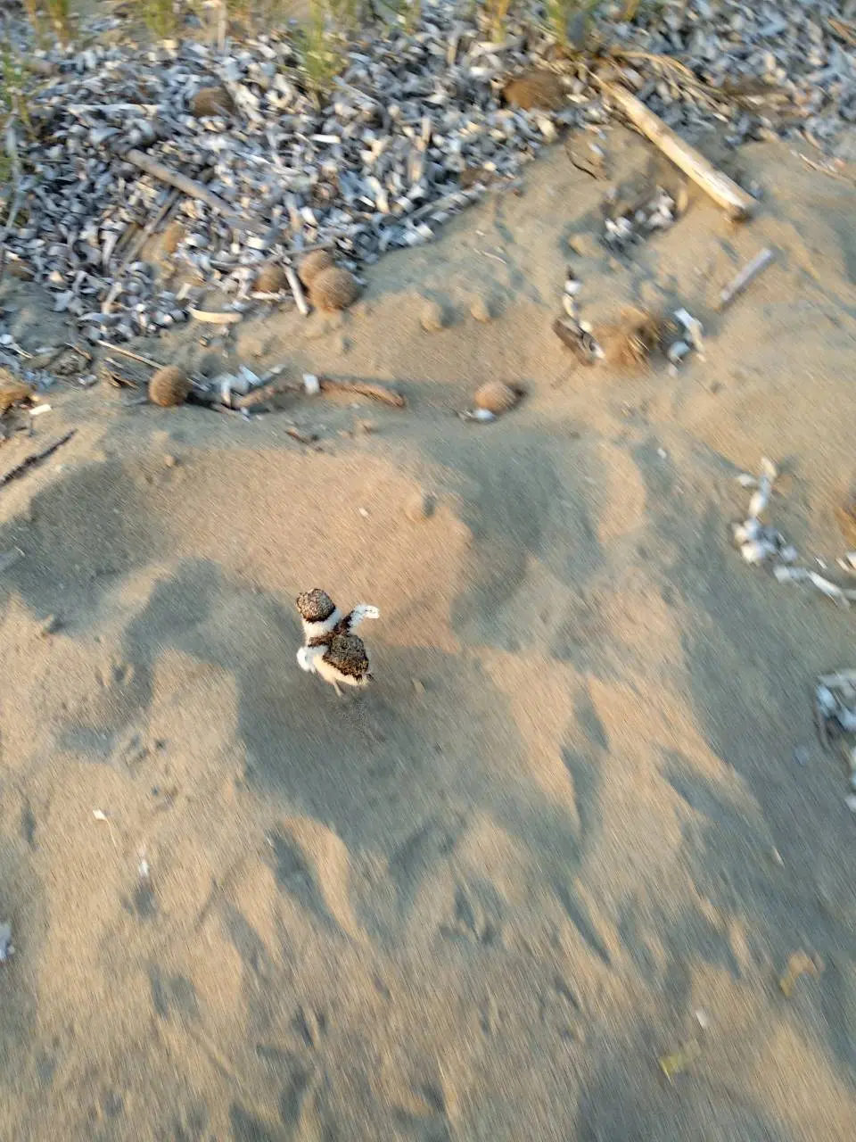 Συνημμένη εικόνα 56829