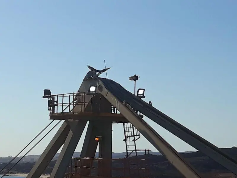 Συνημμένη εικόνα 57145