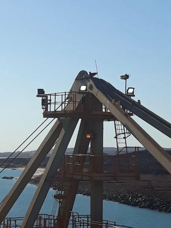 Συνημμένη εικόνα 57146