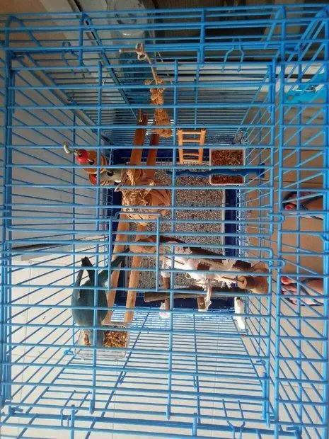 Συνημμένη εικόνα 57343