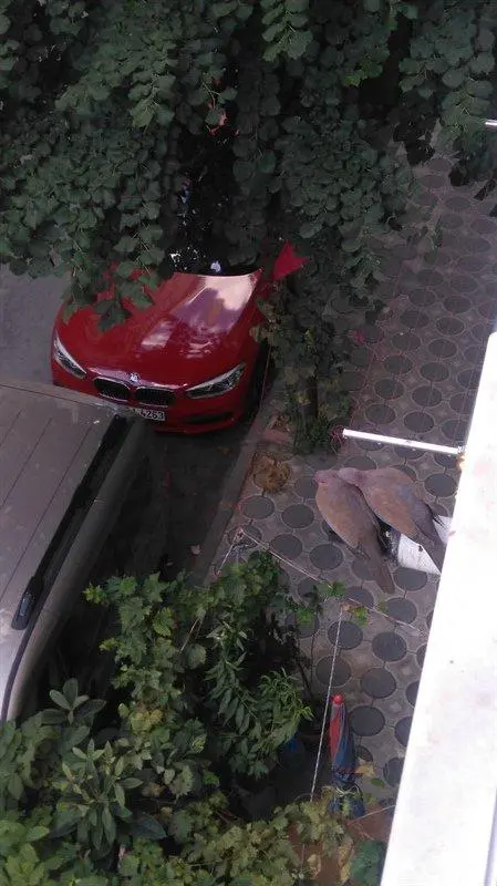 Συνημμένη εικόνα 57412