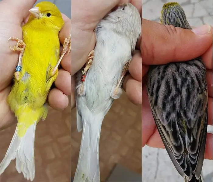 Συνημμένη εικόνα 57531