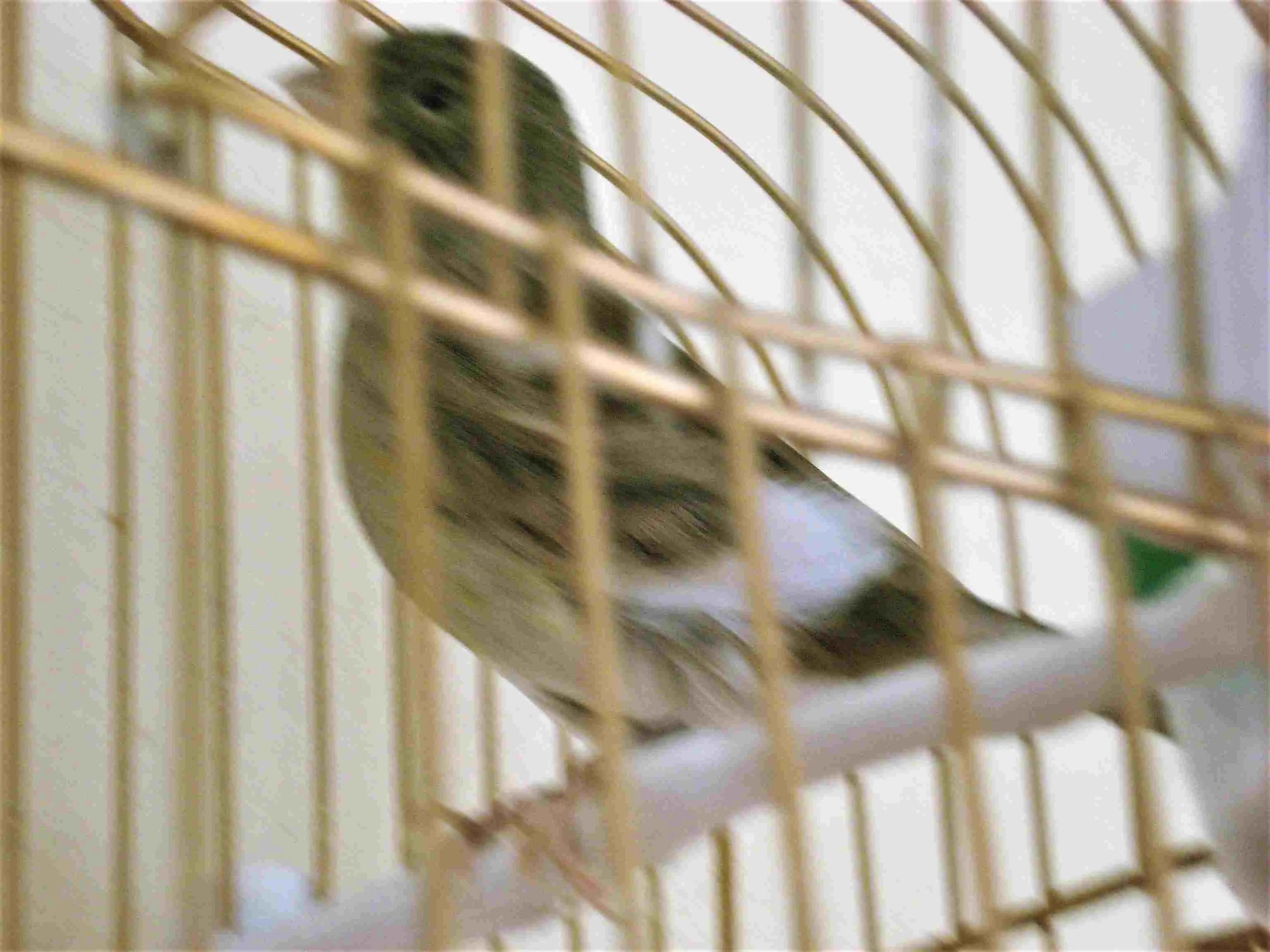 Συνημμένη εικόνα 57670