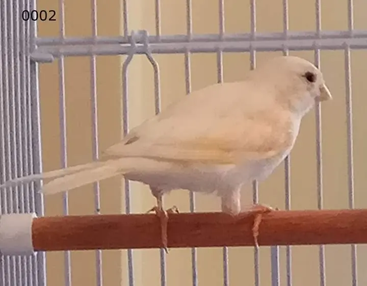 Συνημμένη εικόνα 58072