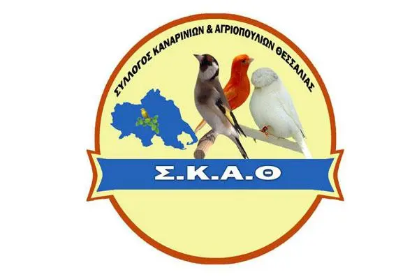 Συνημμένη εικόνα 58328