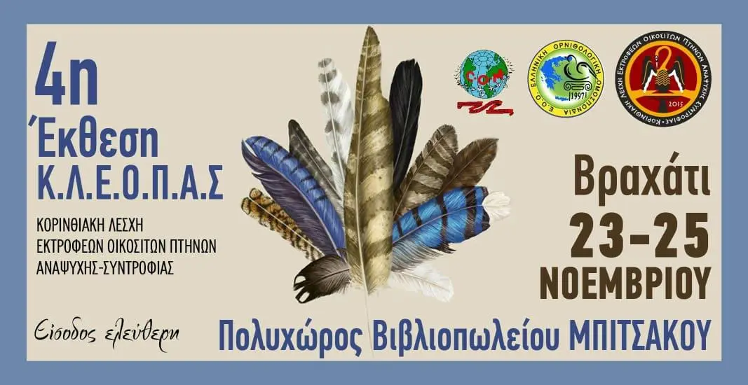 Συνημμένη εικόνα 58355