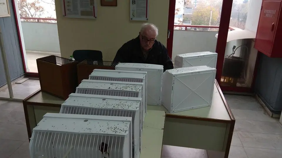 Συνημμένη εικόνα 59130