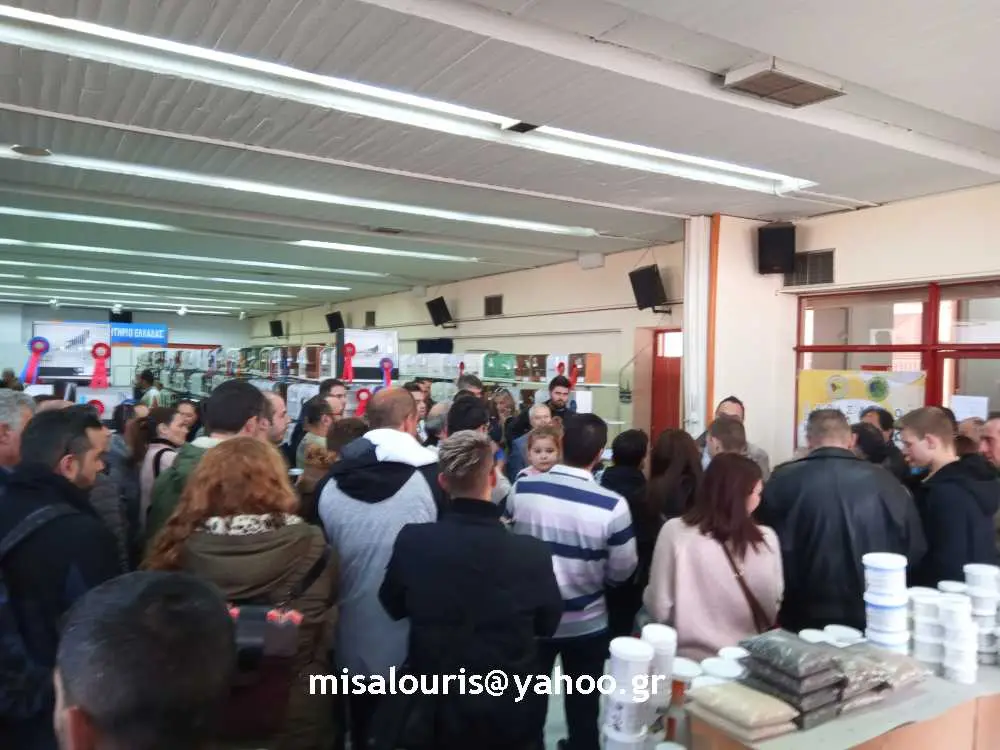 Συνημμένη εικόνα 59183