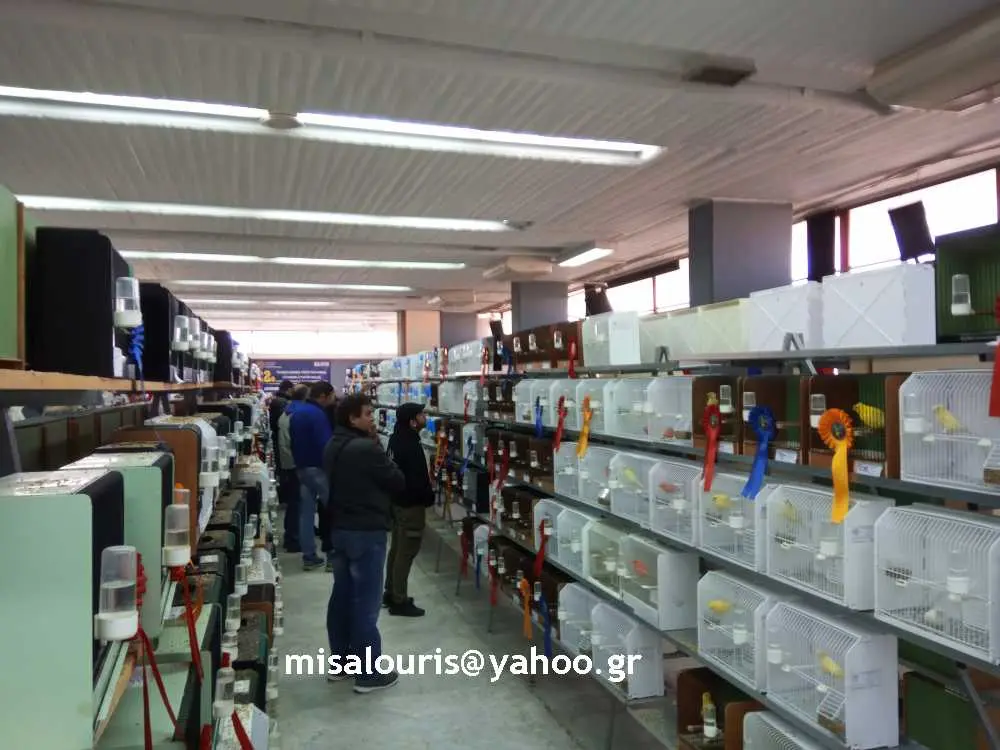 Συνημμένη εικόνα 59187