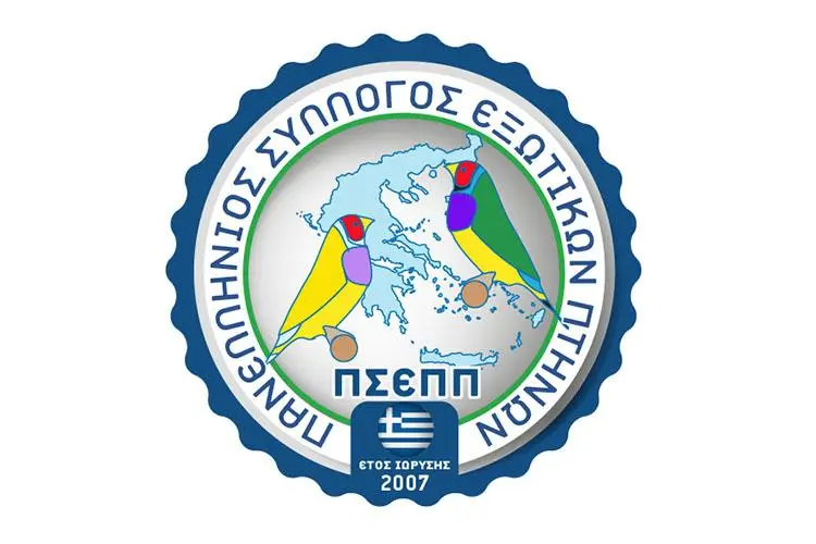 Συνημμένη εικόνα 59224