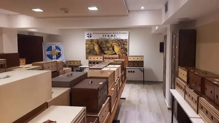 Συνημμένη εικόνα 59233