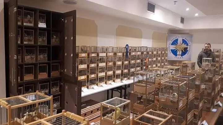Συνημμένη εικόνα 59349
