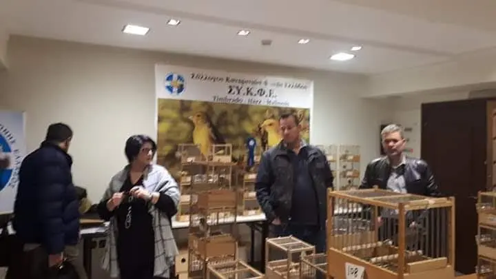 Συνημμένη εικόνα 59350