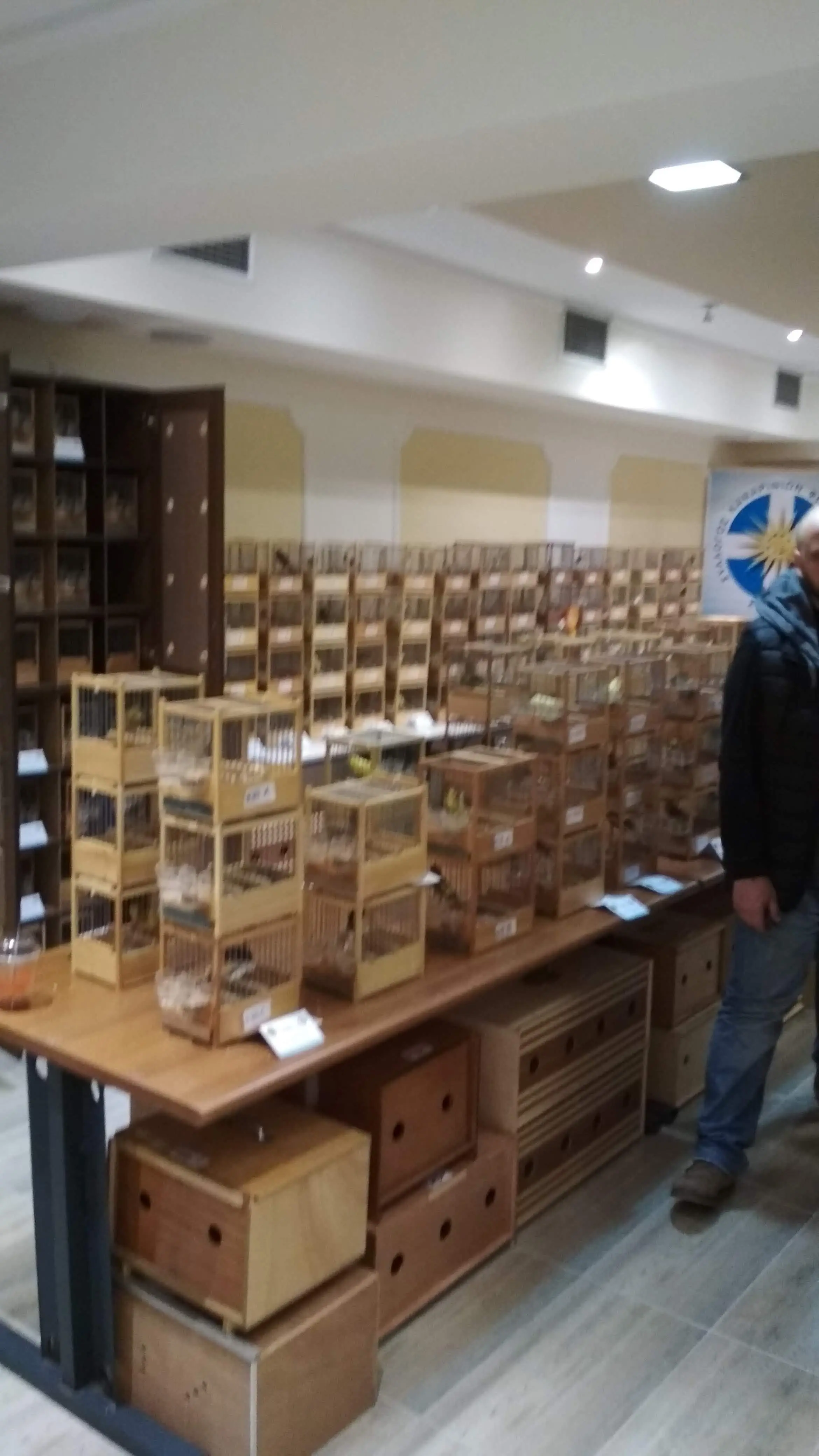 Συνημμένη εικόνα 59351