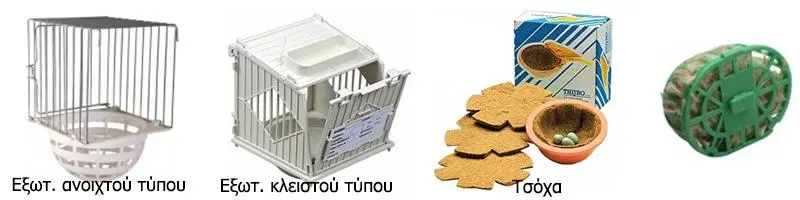 Συνημμένη εικόνα 59379