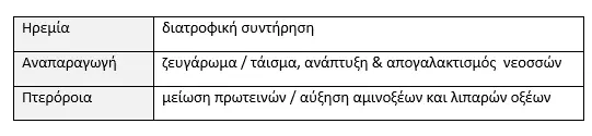 Συνημμένη εικόνα 59381