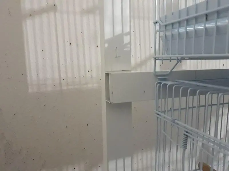 Συνημμένη εικόνα 59517