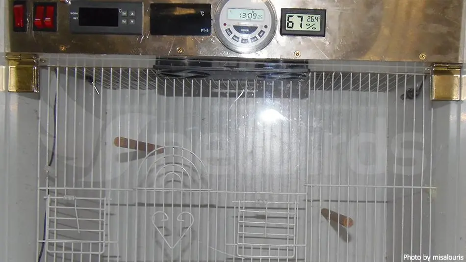 Συνημμένη εικόνα 59684