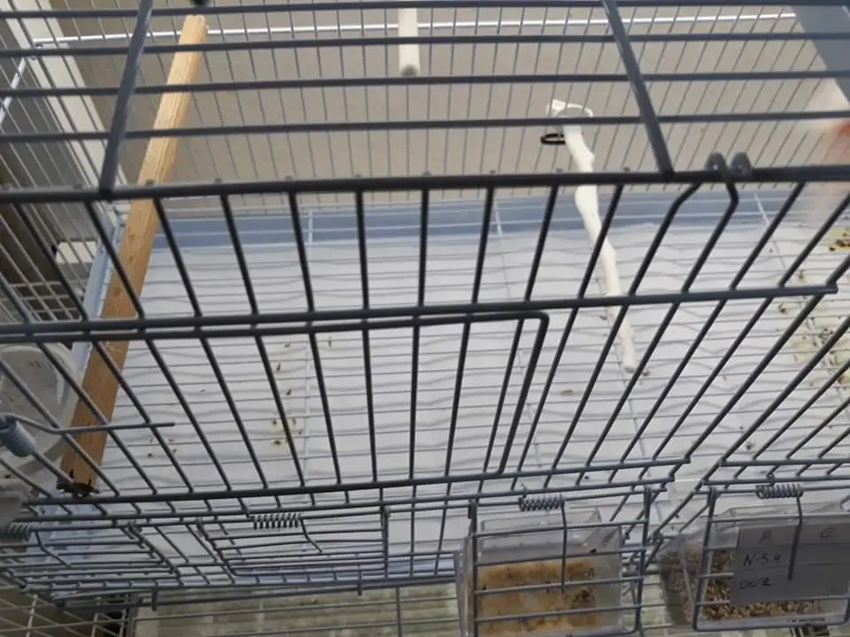 Συνημμένη εικόνα 59899