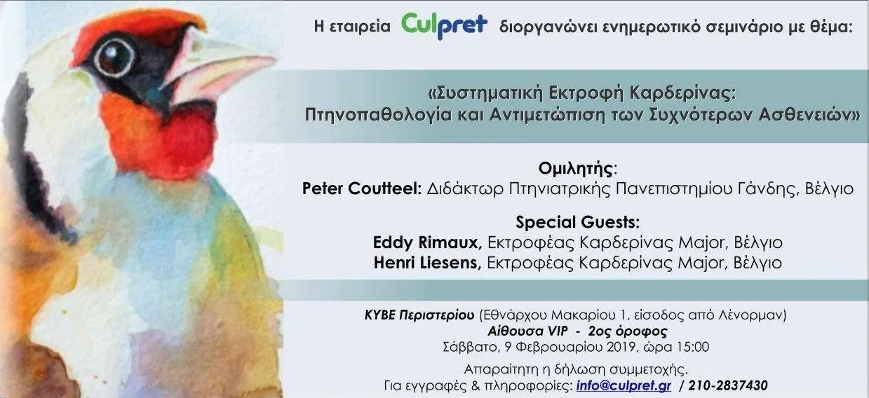Συνημμένη εικόνα 59933