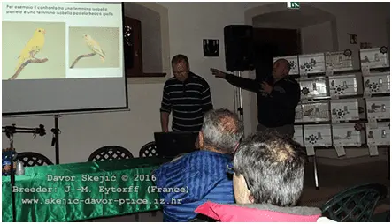 Συνημμένη εικόνα 59992