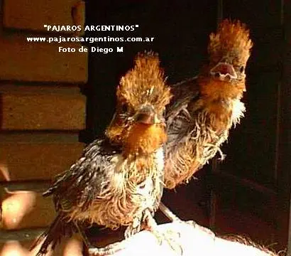 Συνημμένη εικόνα 6472