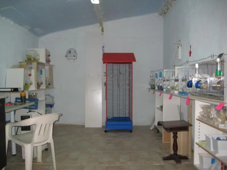 Συνημμένη εικόνα 6852