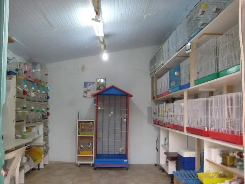 Συνημμένη εικόνα 6853