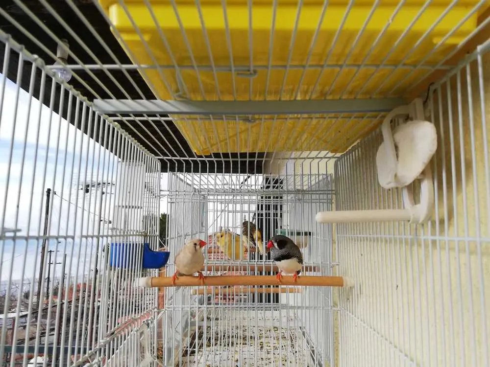 Συνημμένη εικόνα 60354