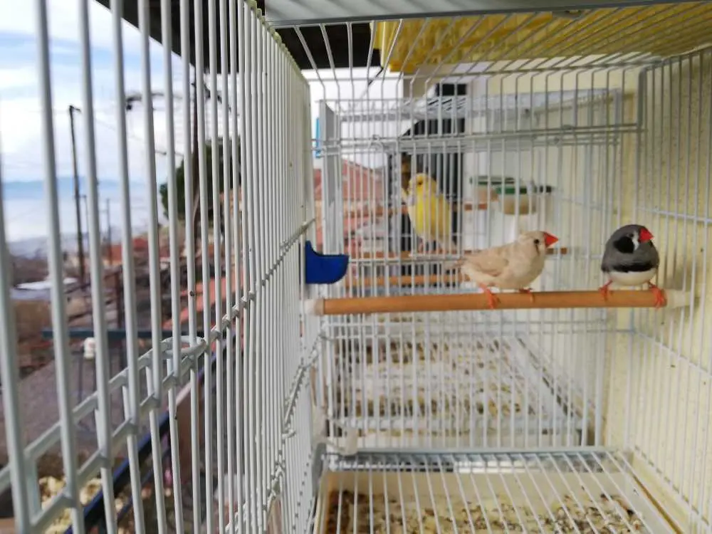 Συνημμένη εικόνα 60357