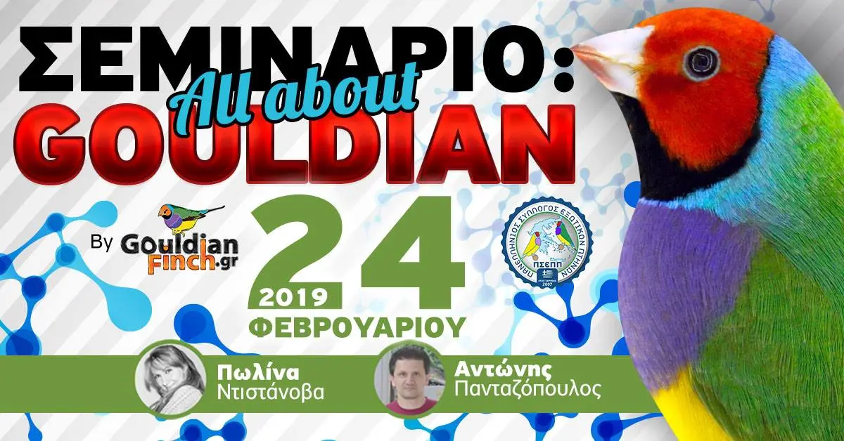 Συνημμένη εικόνα 60687