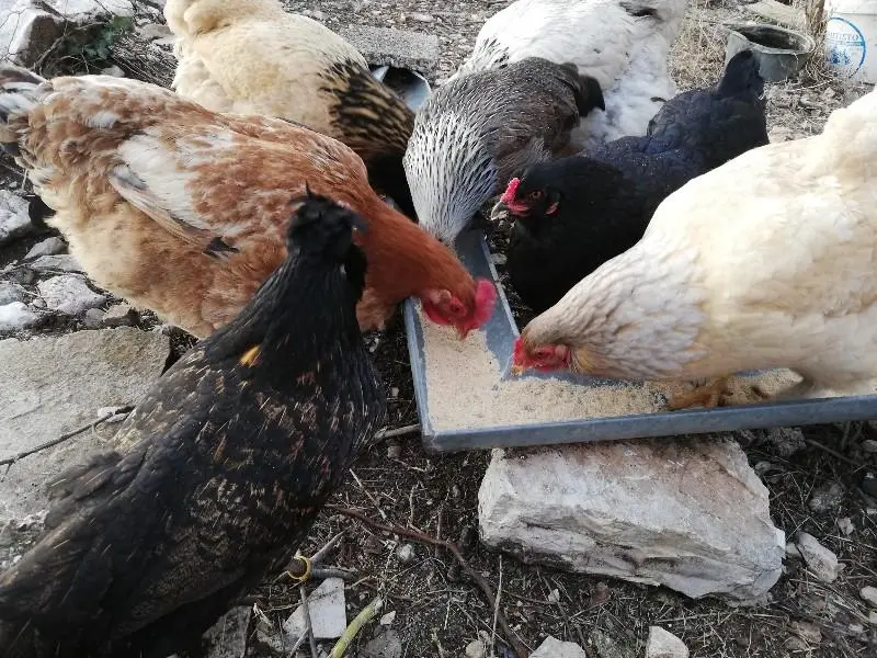 Συνημμένη εικόνα 60715
