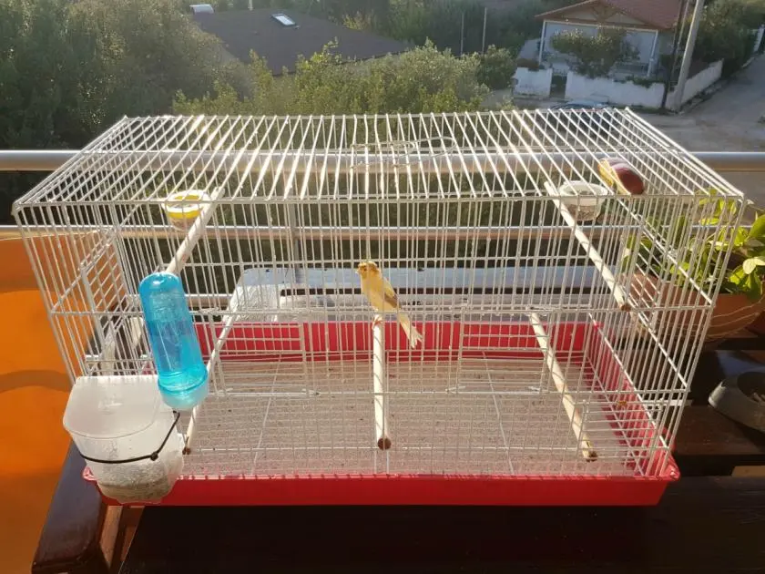 Συνημμένη εικόνα 60823