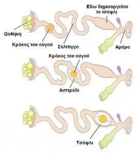 Συνημμένη εικόνα 60916