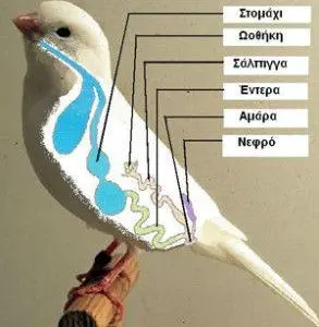 Συνημμένη εικόνα 60917