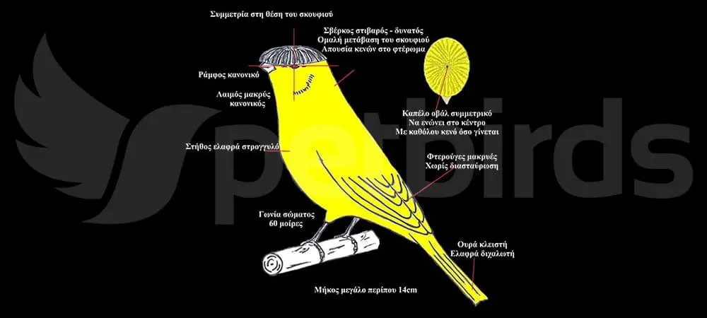 Συνημμένη εικόνα 60926
