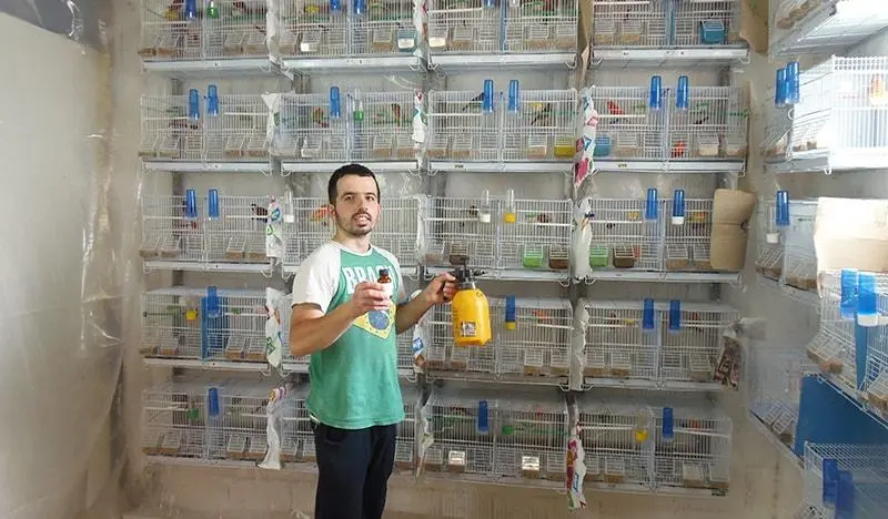 Συνημμένη εικόνα 61118