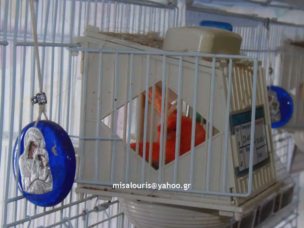 Συνημμένη εικόνα 61174