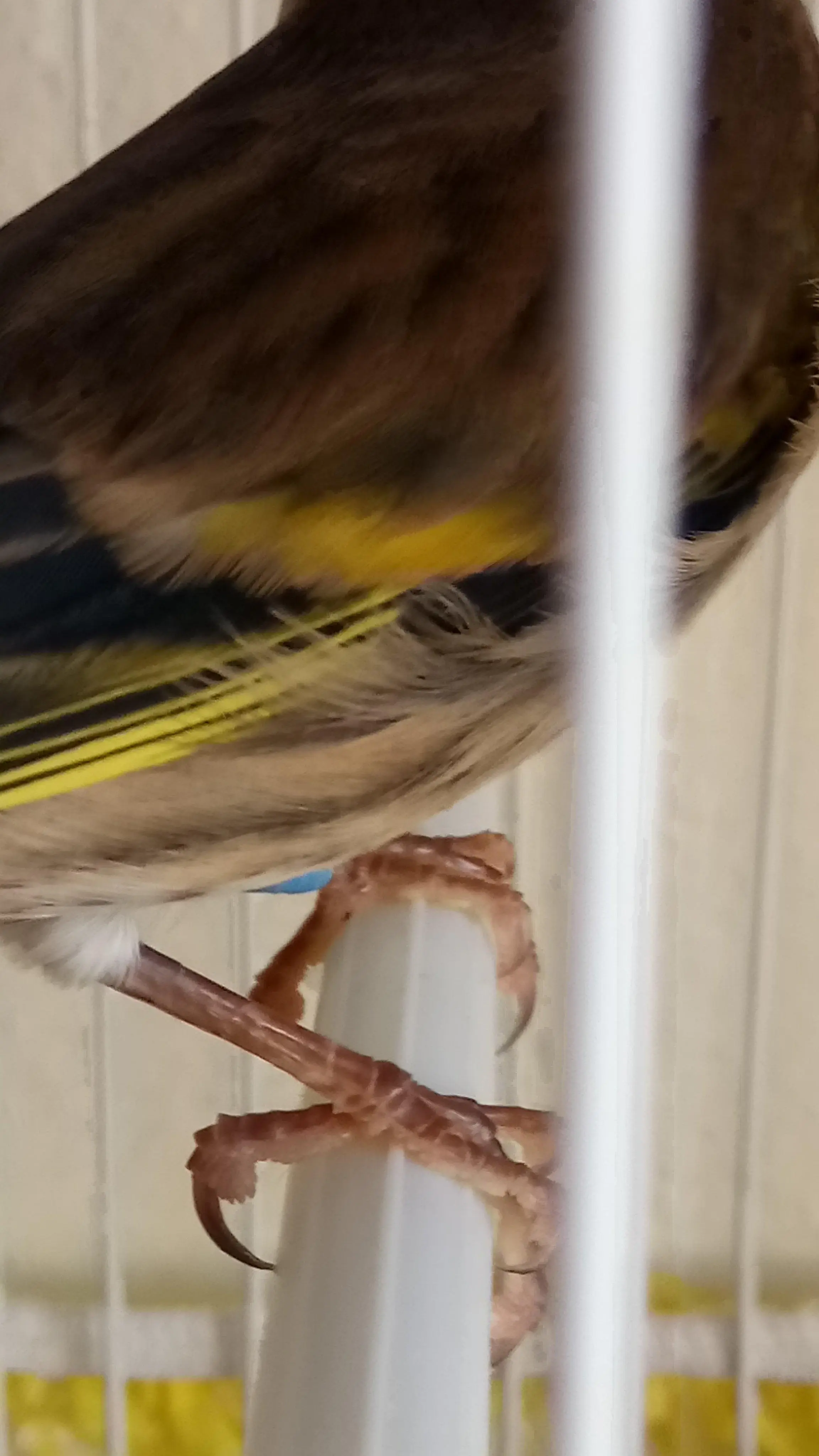 Συνημμένη εικόνα 61190