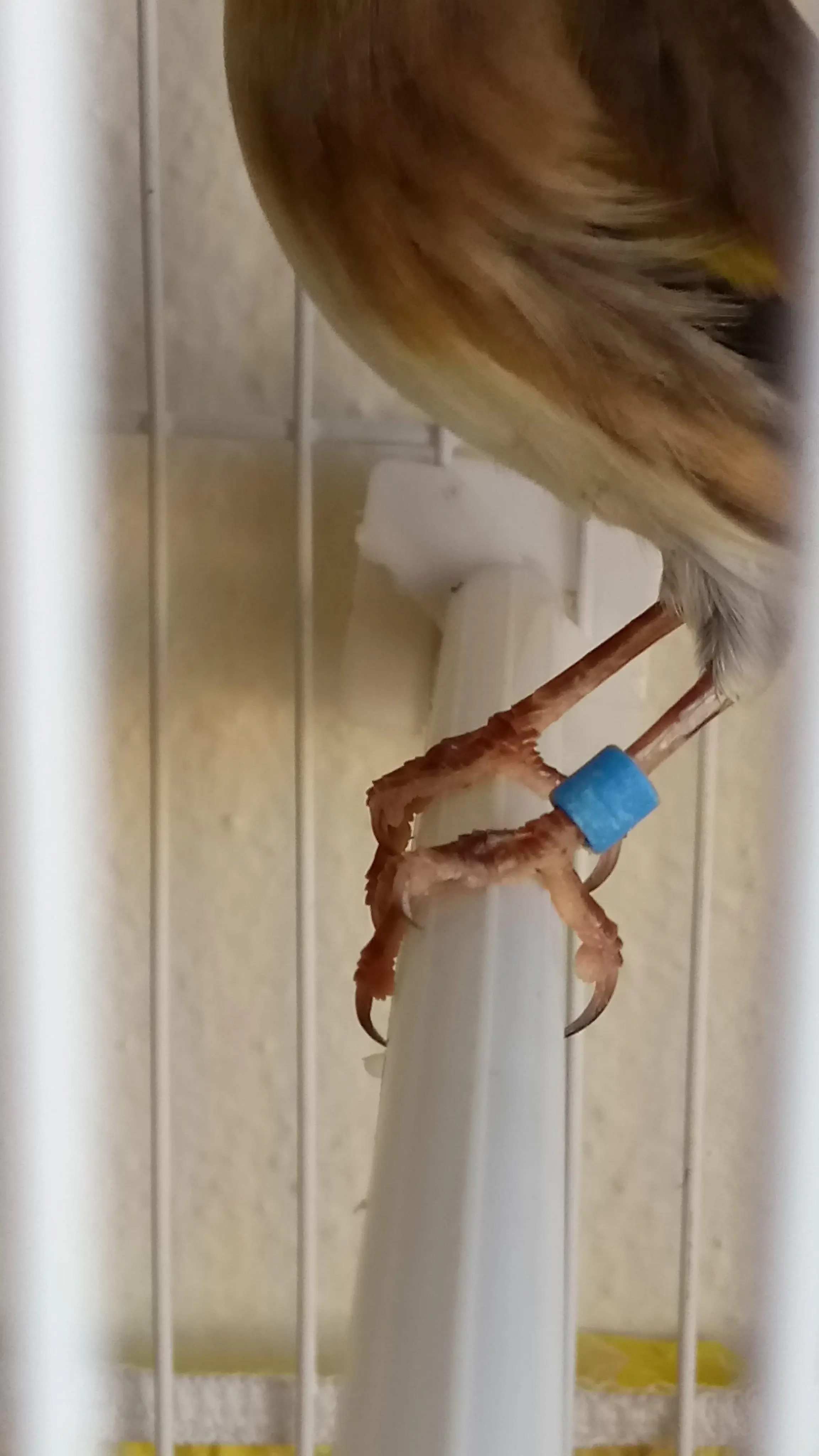 Συνημμένη εικόνα 61191