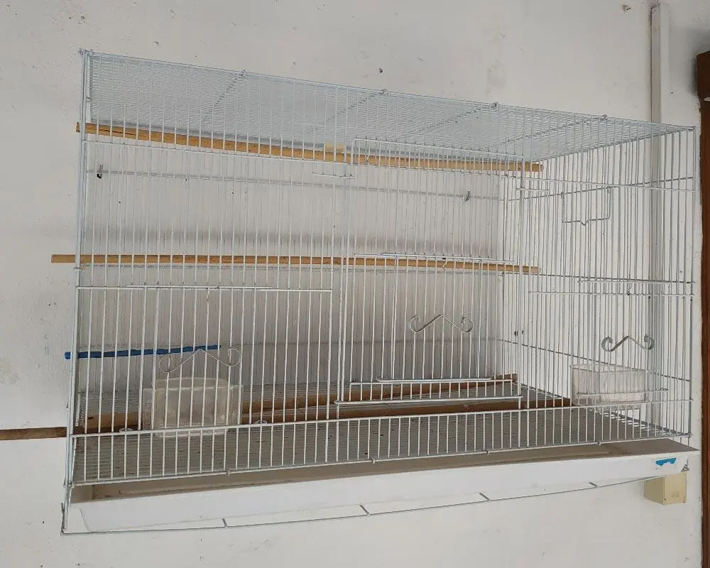 Συνημμένη εικόνα 61455