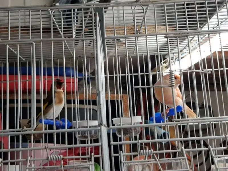 Συνημμένη εικόνα 61674