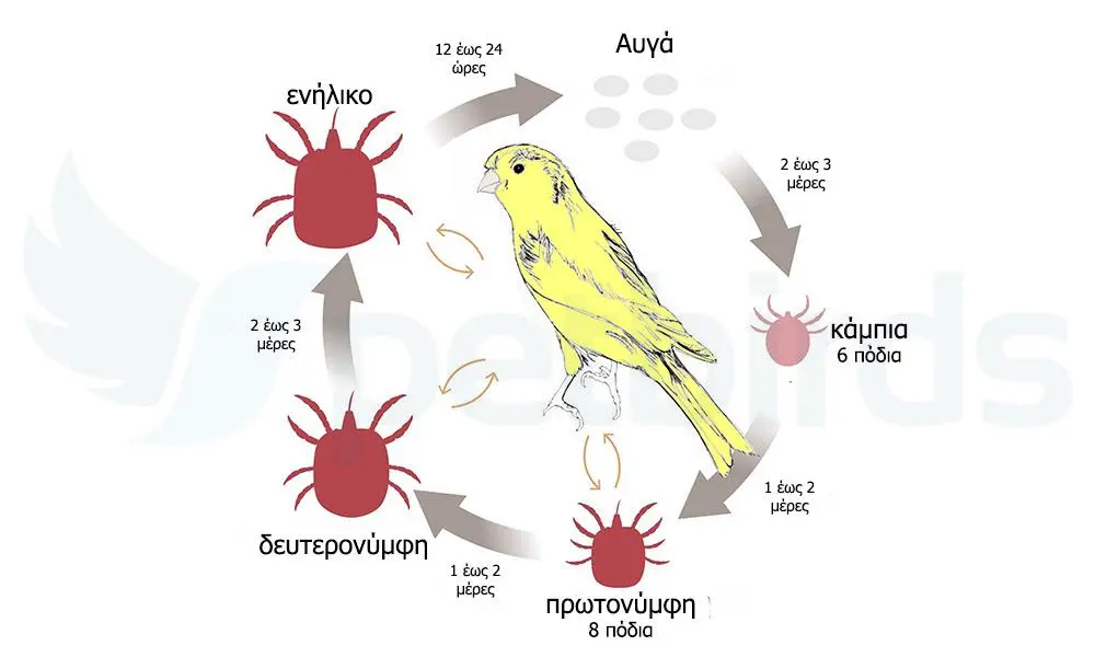 Συνημμένη εικόνα 61691