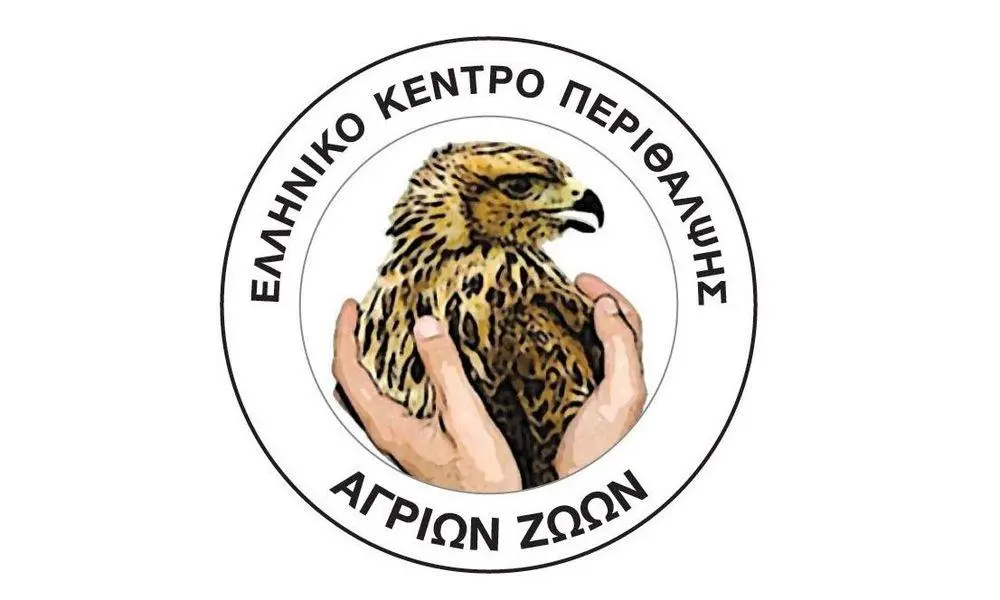 Συνημμένη εικόνα 62055