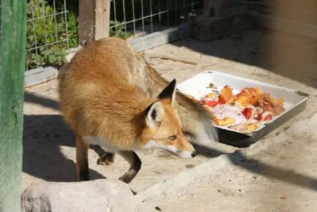 Συνημμένη εικόνα 62059