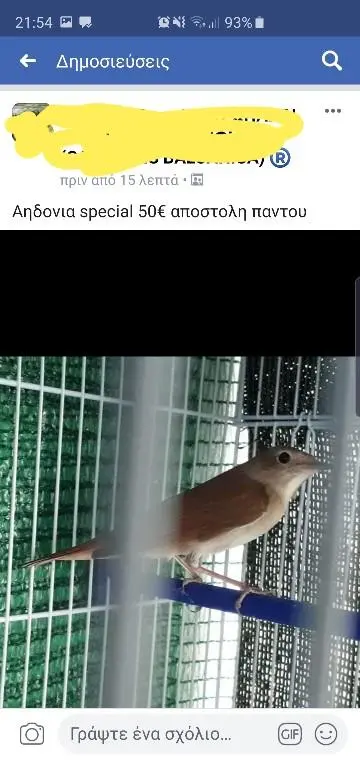 Συνημμένη εικόνα 62348