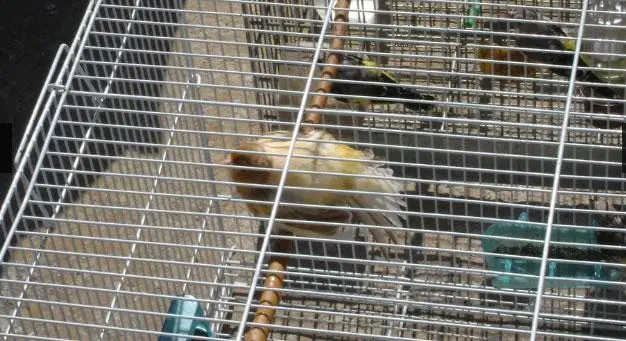 Συνημμένη εικόνα 62352