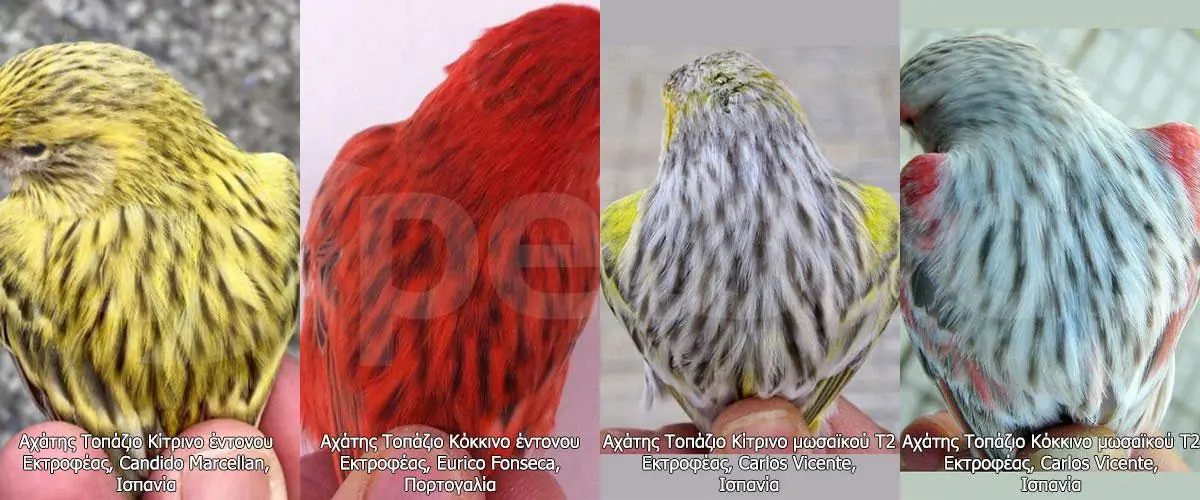 Συνημμένη εικόνα 62379
