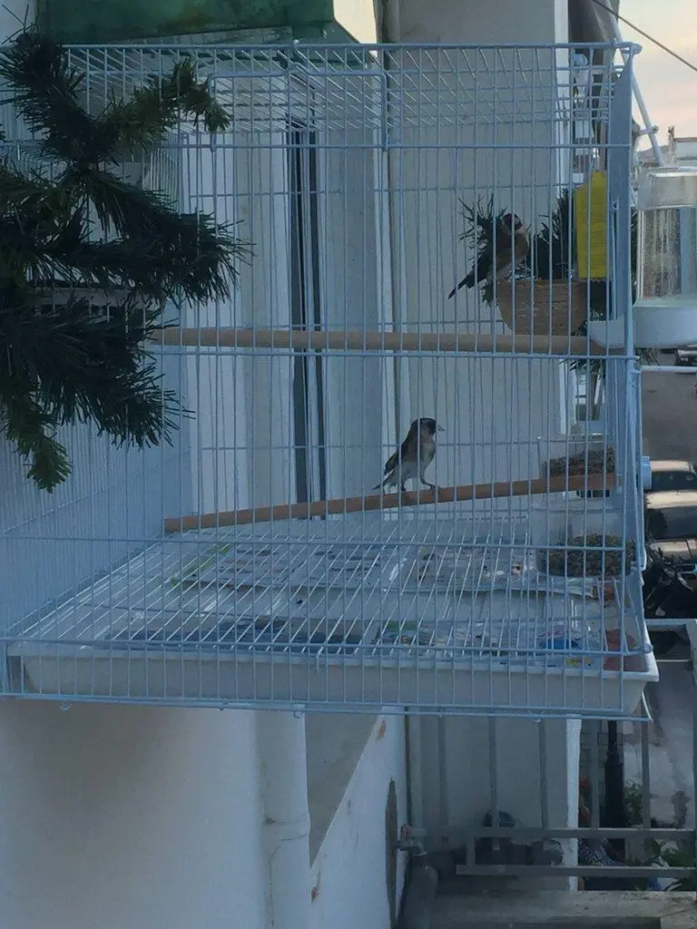 Συνημμένη εικόνα 62555