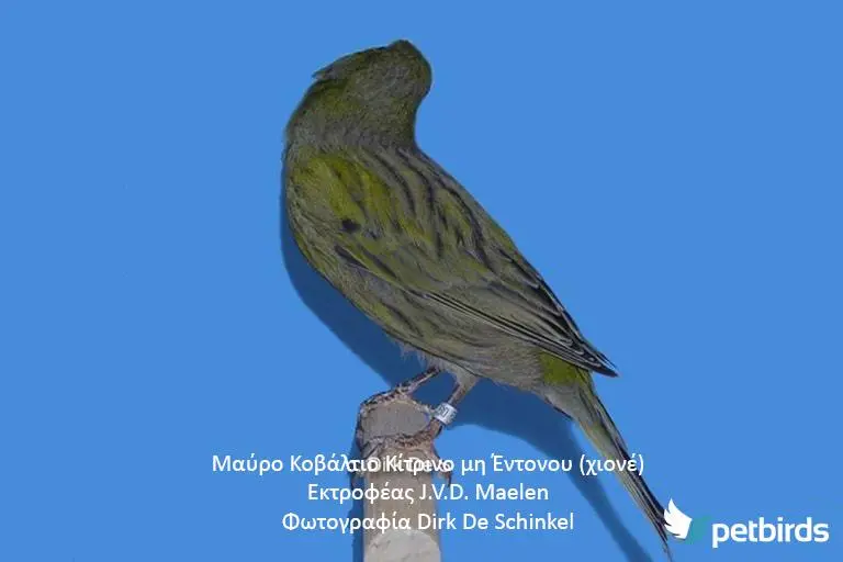 Συνημμένη εικόνα 62684